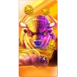 Buffalo
King